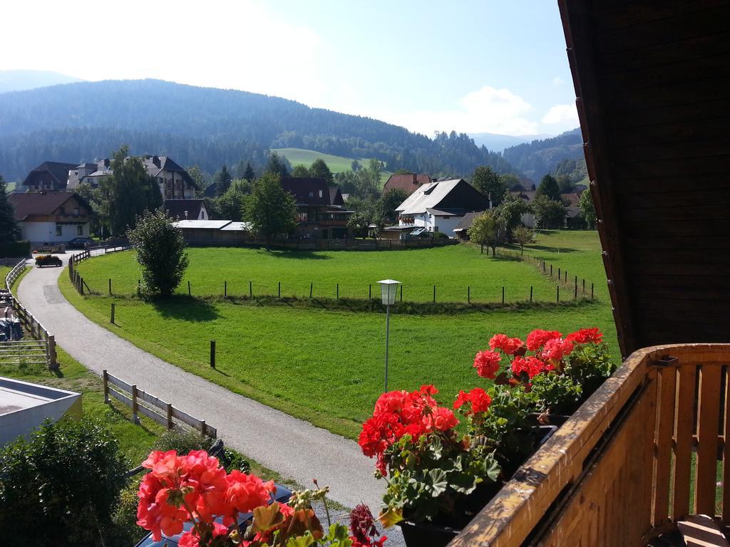 Haus Steinhof Villa Sankt Lorenzen ob Murau Buitenkant foto