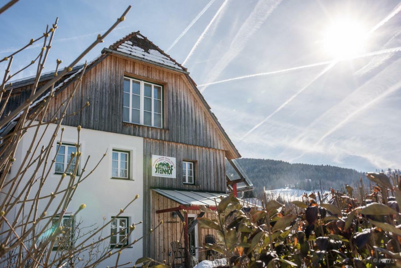 Haus Steinhof Villa Sankt Lorenzen ob Murau Buitenkant foto