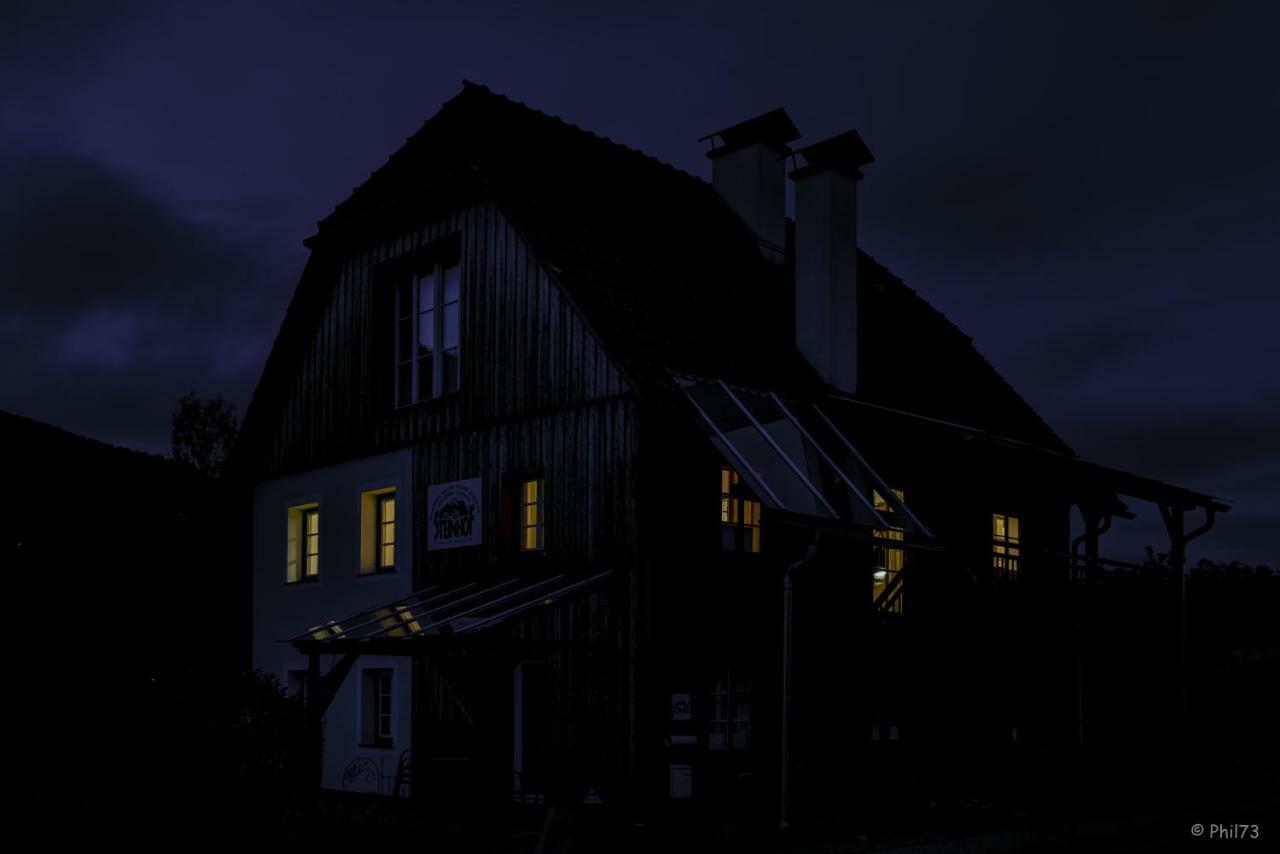 Haus Steinhof Villa Sankt Lorenzen ob Murau Buitenkant foto