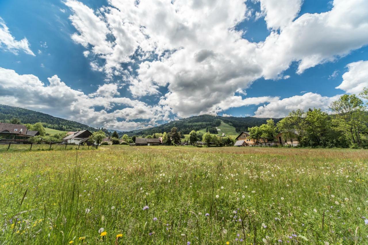 Haus Steinhof Villa Sankt Lorenzen ob Murau Buitenkant foto