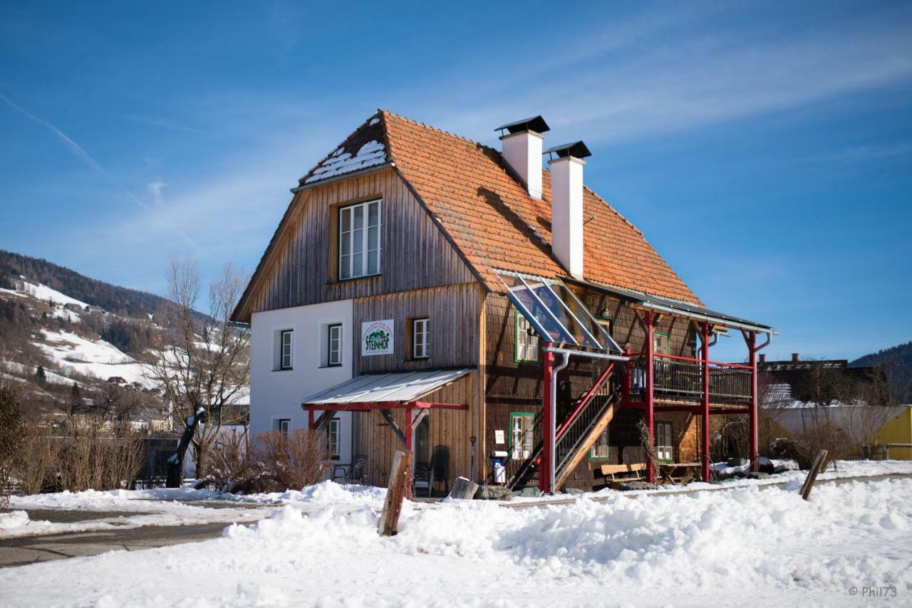 Haus Steinhof Villa Sankt Lorenzen ob Murau Buitenkant foto